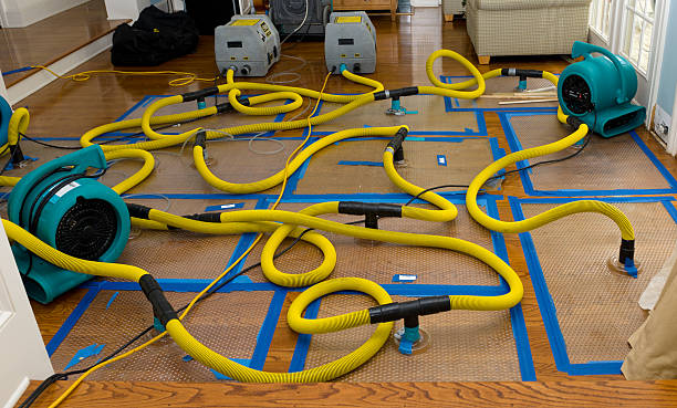 Professional Structural Drying And Dehumidification technician working in Jefferson, IA
